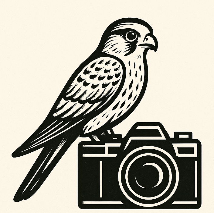 Olympus MC-20 telekonverter tesztje Canon EF 70-200mm f4L objektívvel